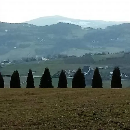 Pod Grusza Lejlighed